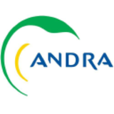 Andra