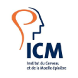 ICM